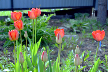 Similar image 22195700