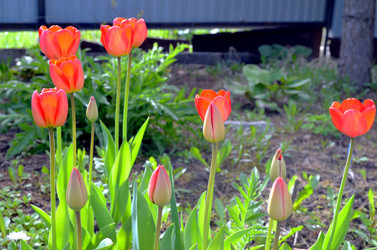 Similar image 22195701