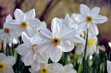 Similar image 22195702