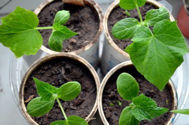 Similar image 22195703