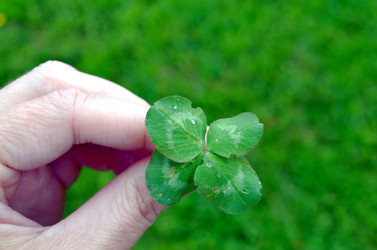 Similar image 22195705