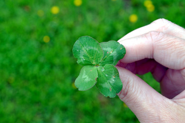 Similar image 22195706