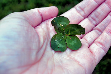 Similar image 22195707