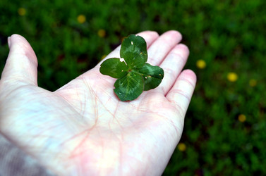 Similar image 22195709