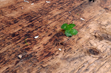 Similar image 22195710