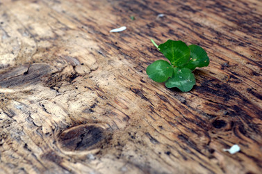 Similar image 22195711