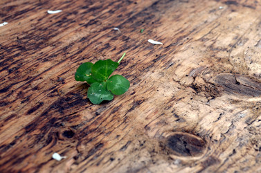 Similar image 22195712