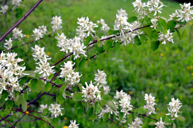 Similar image 22195713