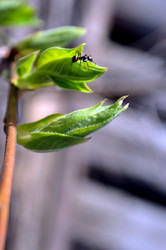 Similar image 22195714