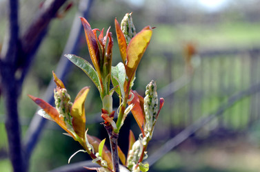 Similar image 22195718