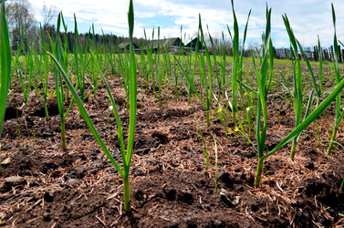 Similar image 22195719