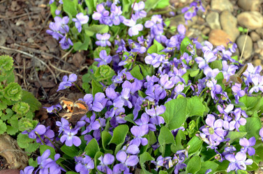 Similar image 22195720