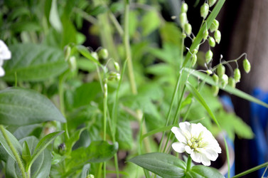 Similar image 22195725