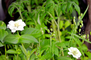 Similar image 22195726