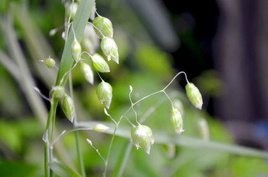 Similar image 22195729