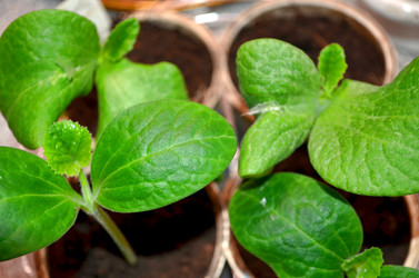 Similar image 22195730