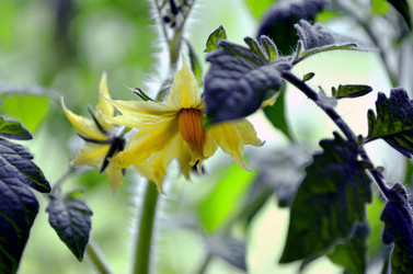 Similar image 22195731