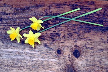 Similar image 22195732