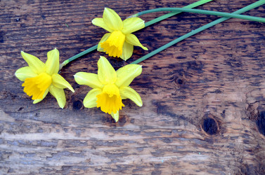 Similar image 22195733