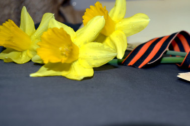 Similar image 22195736