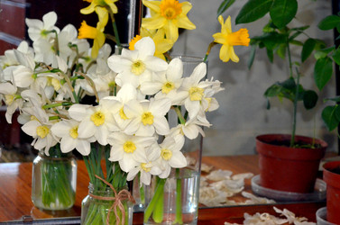 Similar image 22195743