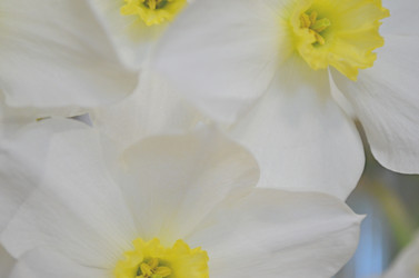 Similar image 22195745