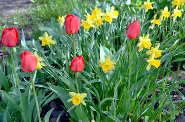 Similar image 22195746