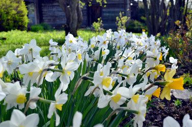 Similar image 22195747