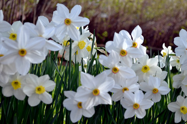 Similar image 22195748