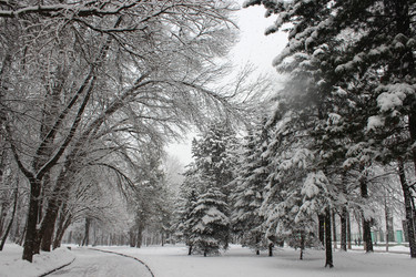 Similar image 22197361