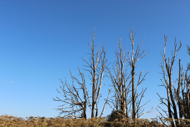 Similar image 22197363