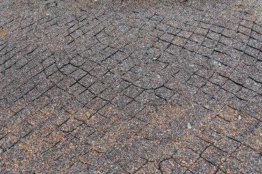 Similar image 22207679