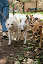 Similar image 22207890