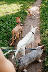 Similar image 22208001