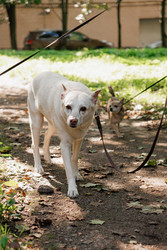 Similar image 22208002