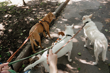 Similar image 22208004