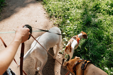 Similar image 22208005