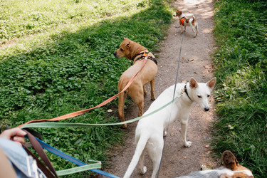 Similar image 22208006