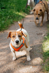 Similar image 22208007