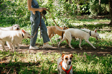 Similar image 22208008