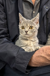 Similar image 22195472