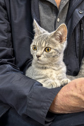 Similar image 22195473