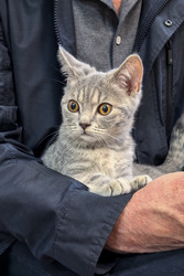 Similar image 22195474