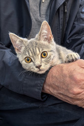 Similar image 22195476