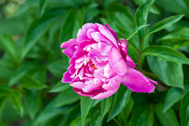 Similar image 22196086