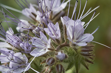 Similar image 22197383