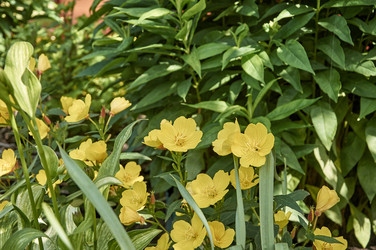 Similar image 22197384