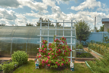 Similar image 22197385