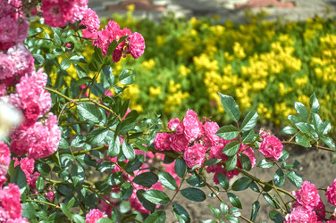 Similar image 22197386