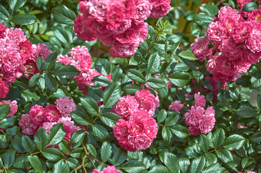 Similar image 22197387